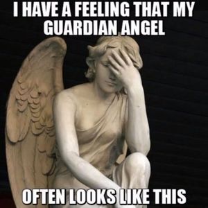 Meet your Posher, Joyce ann